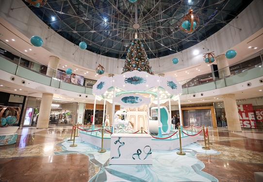 10192 Christmas Joy, Amman, JO